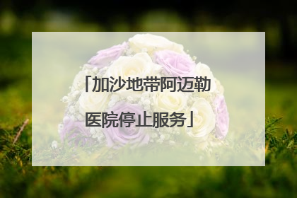 加沙地带阿迈勒医院停止服务