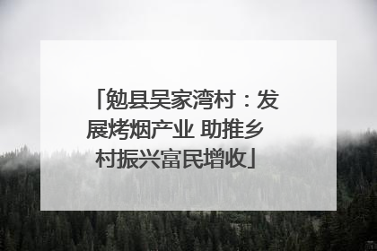 勉县吴家湾村：发展烤烟产业 助推乡村振兴富民增收
