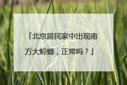 北京居民家中出现南方大蟑螂，正常吗？