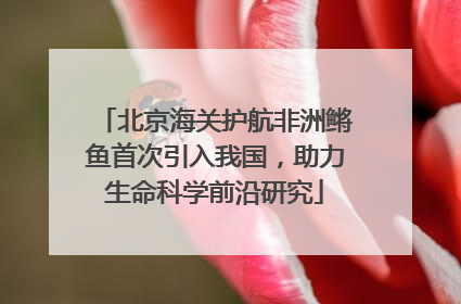 北京海关护航非洲鳉鱼首次引入我国，助力生命科学前沿研究