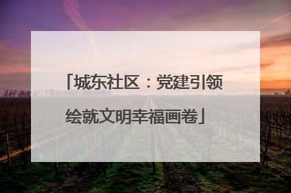 城东社区：党建引领绘就文明幸福画卷