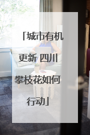 城市有机更新 四川攀枝花如何行动