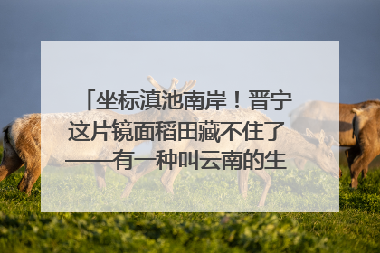 坐标滇池南岸！晋宁这片镜面稻田藏不住了——有一种叫云南的生活之365天