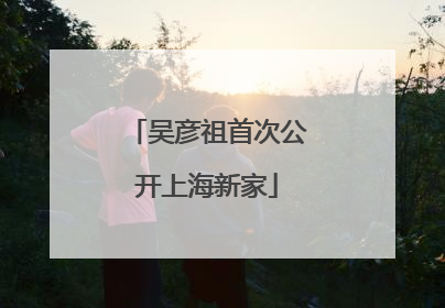 吴彦祖首次公开上海新家