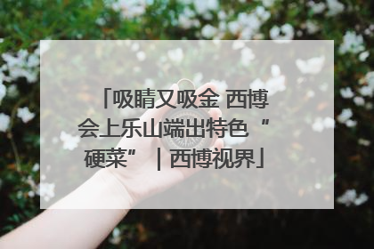 吸睛又吸金 西博会上乐山端出特色“硬菜”｜西博视界