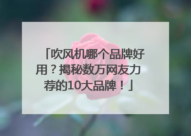 吹风机哪个品牌好用？揭秘数万网友力荐的10大品牌！