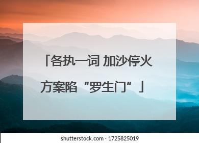 各执一词 加沙停火方案陷“罗生门”
