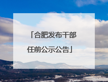 合肥发布干部任前公示公告