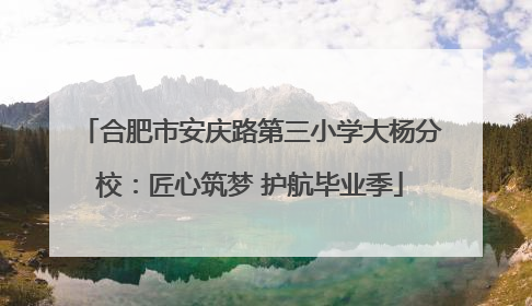 合肥市安庆路第三小学大杨分校：匠心筑梦 护航毕业季