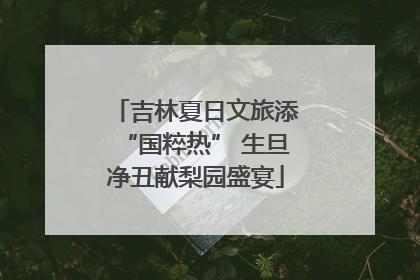 吉林夏日文旅添“国粹热” 生旦净丑献梨园盛宴