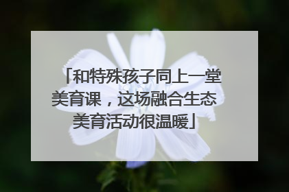 和特殊孩子同上一堂美育课，这场融合生态美育活动很温暖