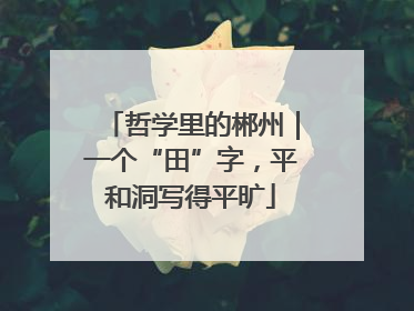 哲学里的郴州｜一个“田”字，平和洞写得平旷