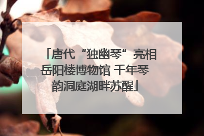唐代“独幽琴”亮相岳阳楼博物馆 千年琴韵洞庭湖畔苏醒