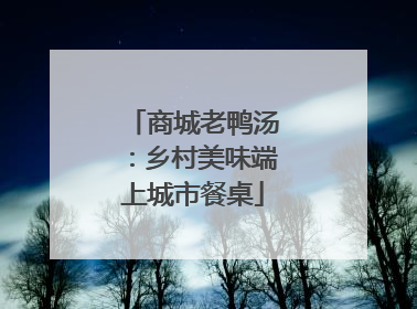 商城老鸭汤：乡村美味端上城市餐桌