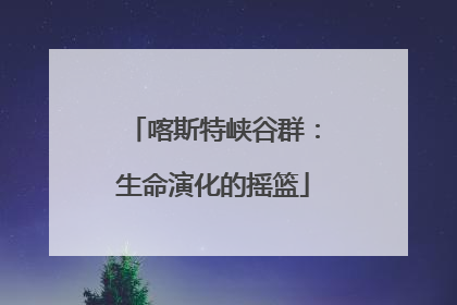 喀斯特峡谷群：生命演化的摇篮