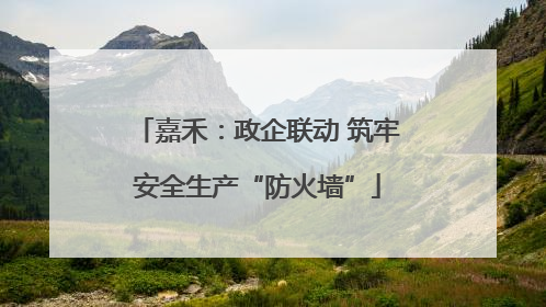 嘉禾：政企联动 筑牢安全生产“防火墙”