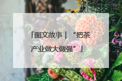 图文故事｜“把茶产业做大做强”