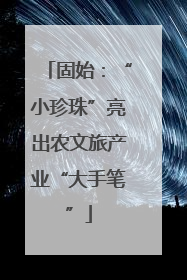 固始：“小珍珠”亮出农文旅产业“大手笔”