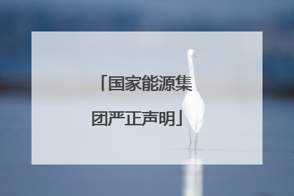 国家能源集团严正声明