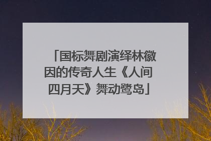 国标舞剧演绎林徽因的传奇人生《人间四月天》舞动鹭岛