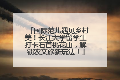 国际范儿遇见乡村美！长江大学留学生打卡石首桃花山，解锁农文旅新玩法！