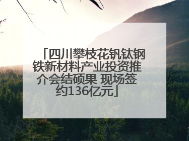 四川攀枝花钒钛钢铁新材料产业投资推介会结硕果 现场签约136亿元