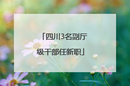 四川3名副厅级干部任新职