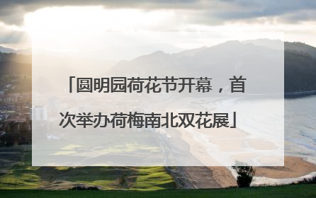 圆明园荷花节开幕，首次举办荷梅南北双花展