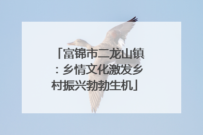 富锦市二龙山镇：乡情文化激发乡村振兴勃勃生机
