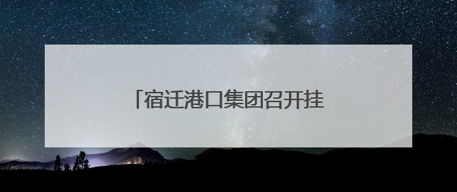 宿迁港口集团召开挂职干部交流座谈会