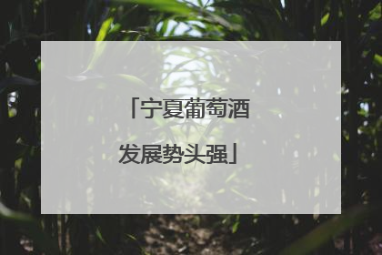 宁夏葡萄酒发展势头强