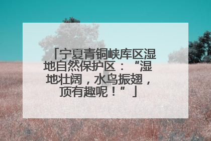 宁夏青铜峡库区湿地自然保护区：“湿地壮阔，水鸟振翅，顶有趣呢！”