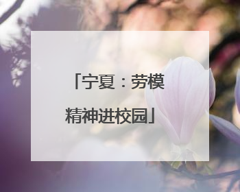宁夏：劳模精神进校园