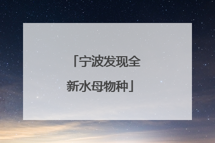 宁波发现全新水母物种