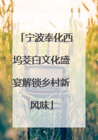 宁波奉化西坞茭白文化盛宴解锁乡村新风味