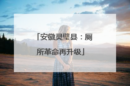 安徽灵璧县：厕所革命再升级