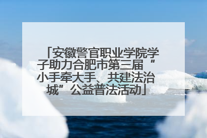 安徽警官职业学院学子助力合肥市第三届“小手牵大手、共建法治城”公益普法活动