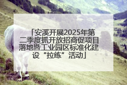 安溪开展2025年第二季度抓开放招商促项目落地暨工业园区标准化建设“拉练”活动