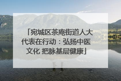 宛城区茶庵街道人大代表在行动：弘扬中医文化 把脉基层健康