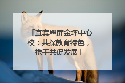 宜宾翠屏金坪中心校：共探教育特色，携手共促发展