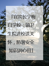宜宾长宁梅白学校：镇卫生院进校送关怀，防暑安全知识润心田