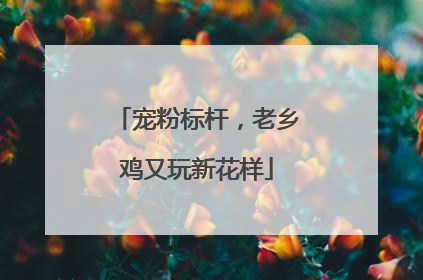 宠粉标杆，老乡鸡又玩新花样
