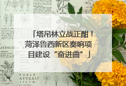 塔吊林立战正酣！菏泽鲁西新区奏响项目建设“奋进曲”