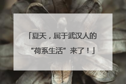 夏天，属于武汉人的“荷系生活”来了！