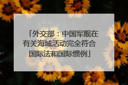 外交部：中国军舰在有关海域活动完全符合国际法和国际惯例
