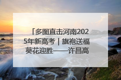 多图直击河南2025年新高考｜旗袍送福 葵花迎胜——许昌高考首日拉开帷幕