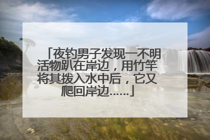 夜钓男子发现一不明活物趴在岸边，用竹竿将其拨入水中后，它又爬回岸边……