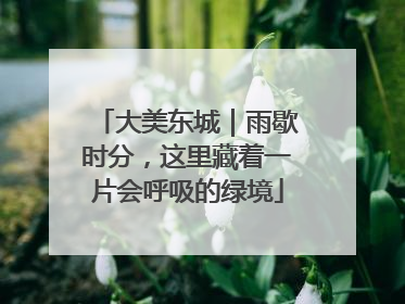 大美东城｜雨歇时分，这里藏着一片会呼吸的绿境
