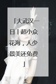 大武汉一日丨超小众花海，人少景美还免费