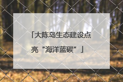 大陈岛生态建设点亮“海洋蓝碳”